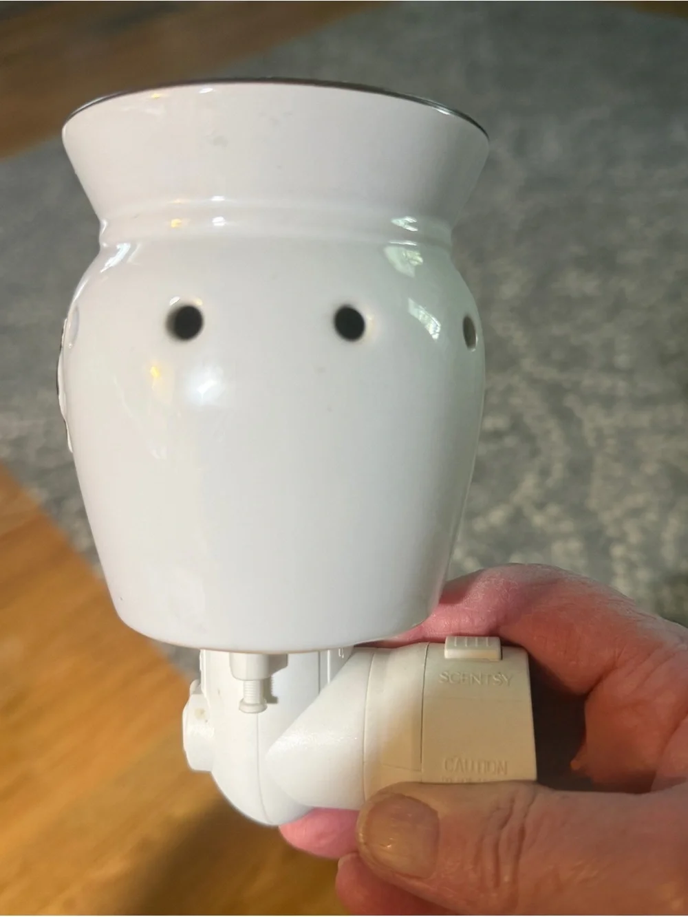 Scentsy ceramic plug